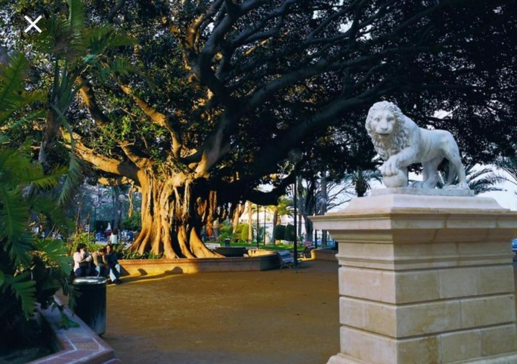The Terrace Canalejas Alicante Dış mekan fotoğraf